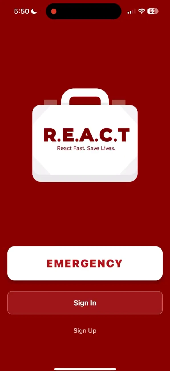 Screenshot of React