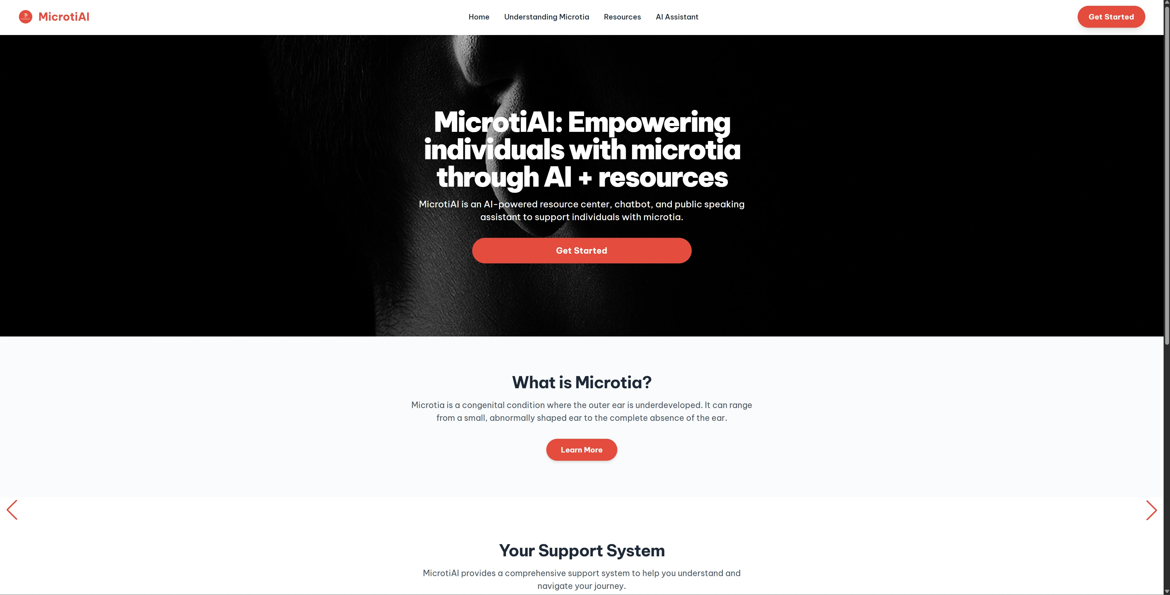 Screenshot of Microtiai